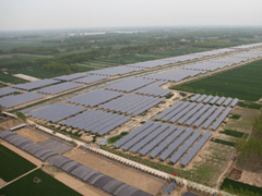 徐州豐縣23.8MW農(nóng)業(yè)大棚光伏電站項目