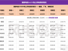 9家整機(jī)商競標(biāo)，最低價(jià)2100元/kW！國家電投16GW海上風(fēng)電機(jī)組集采開標(biāo)！