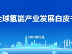 228個大型氫能項目已宣！全球氫能產(chǎn)業(yè)發(fā)展白皮書發(fā)布