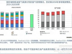 IEA：全球氫能需求今年將達1億噸！中國電解槽產(chǎn)能占八成！