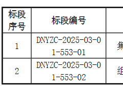 5GWh！國(guó)家電投2025年儲(chǔ)能系統(tǒng)集采招標(biāo)