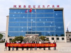 5.04MW微逆BIPV項(xiàng)目并網(wǎng)！昱能科技助力制鹽業(yè)綠色低碳轉(zhuǎn)型