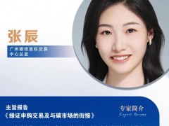 演講嘉賓|廣州碳排放權交易中心總監(jiān)張辰 出席廣東工商業(yè)光儲市場研討會
