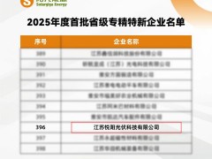 高光時刻 | 陽光能源悅陽基地榮膺2025年度首批省級專精特新企業(yè)